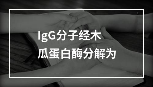 IgG分子经木瓜蛋白酶分解为