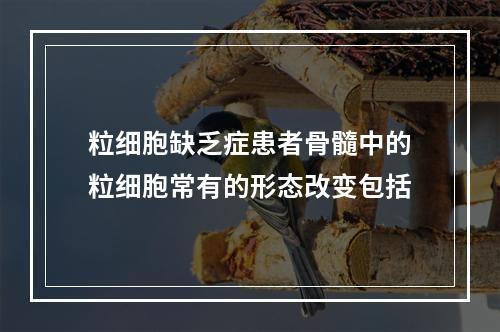 粒细胞缺乏症患者骨髓中的粒细胞常有的形态改变包括