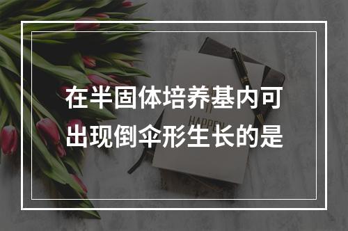 在半固体培养基内可出现倒伞形生长的是