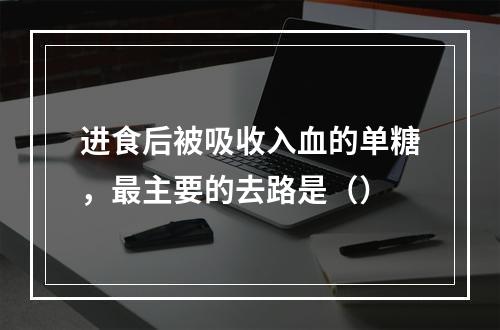 进食后被吸收入血的单糖，最主要的去路是（）