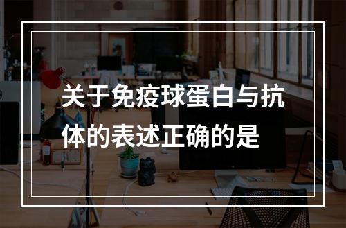 关于免疫球蛋白与抗体的表述正确的是