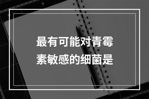 最有可能对青霉素敏感的细菌是