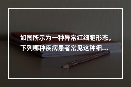 如图所示为一种异常红细胞形态，下列哪种疾病患者常见这种细胞(