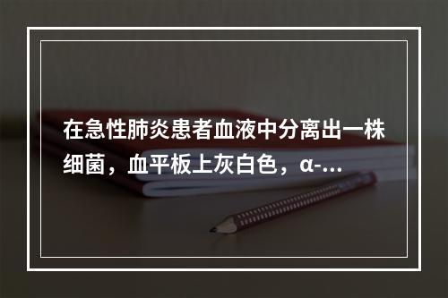 在急性肺炎患者血液中分离出一株细菌，血平板上灰白色，α-溶血