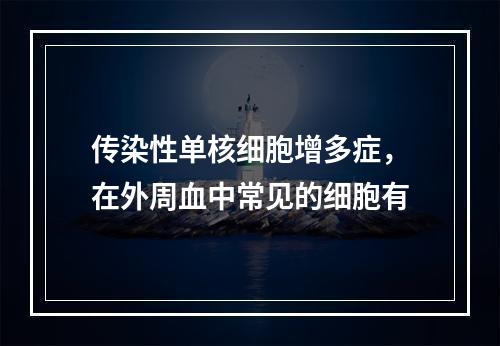 传染性单核细胞增多症，在外周血中常见的细胞有