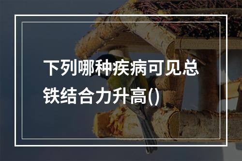 下列哪种疾病可见总铁结合力升高()