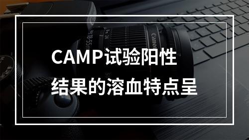 CAMP试验阳性结果的溶血特点呈