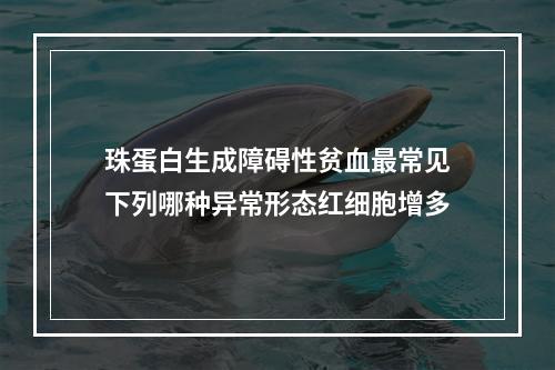 珠蛋白生成障碍性贫血最常见下列哪种异常形态红细胞增多