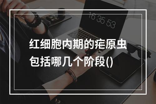 红细胞内期的疟原虫包括哪几个阶段()