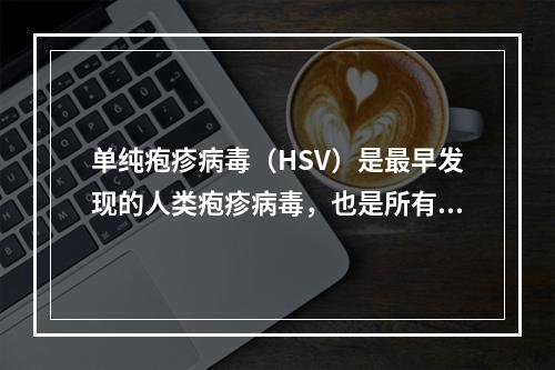 单纯疱疹病毒（HSV）是最早发现的人类疱疹病毒，也是所有人类