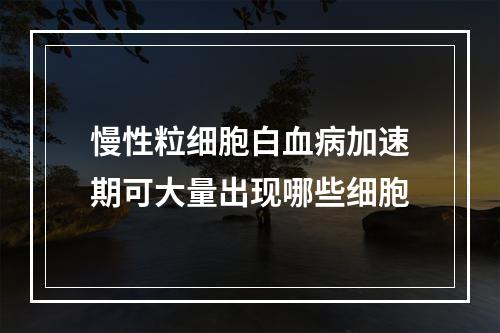 慢性粒细胞白血病加速期可大量出现哪些细胞