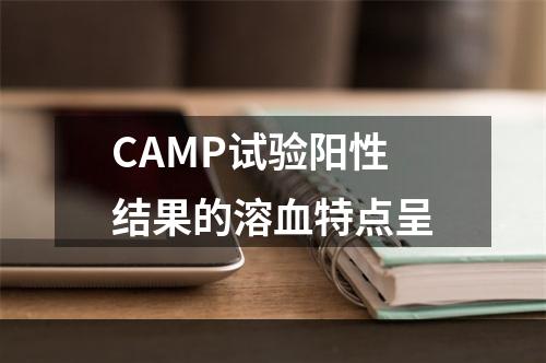 CAMP试验阳性结果的溶血特点呈