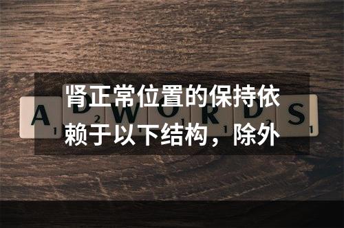 肾正常位置的保持依赖于以下结构，除外