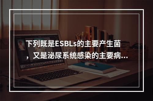 下列既是ESBLs的主要产生菌，又是泌尿系统感染的主要病原菌