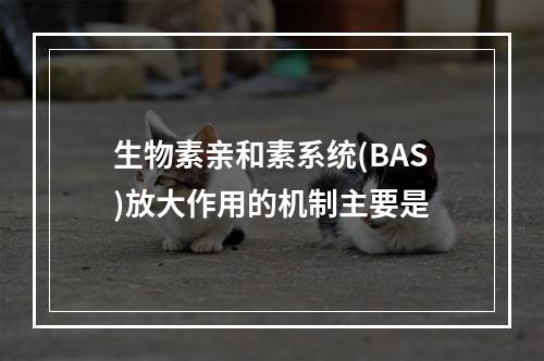 生物素亲和素系统(BAS)放大作用的机制主要是