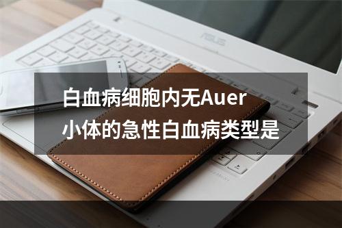 白血病细胞内无Auer小体的急性白血病类型是