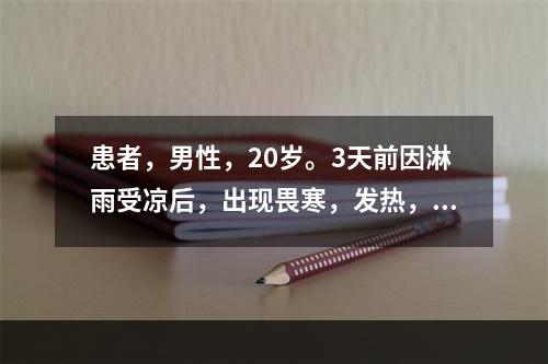 患者，男性，20岁。3天前因淋雨受凉后，出现畏寒，发热，体温