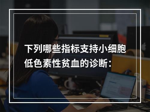 下列哪些指标支持小细胞低色素性贫血的诊断：