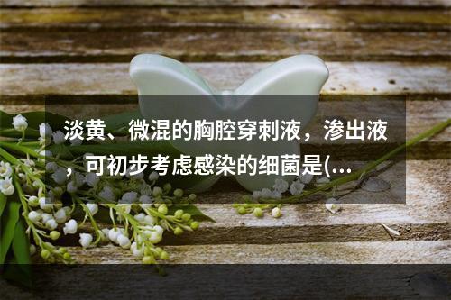 淡黄、微混的胸腔穿刺液，渗出液，可初步考虑感染的细菌是()