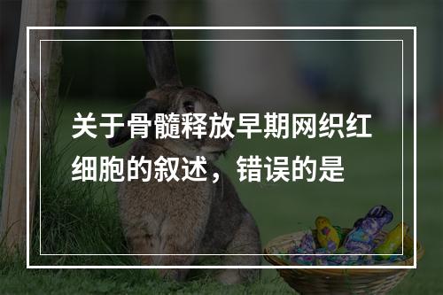 关于骨髓释放早期网织红细胞的叙述，错误的是