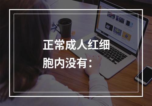 正常成人红细胞内没有：