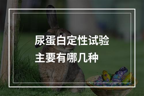 尿蛋白定性试验主要有哪几种