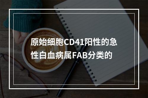 原始细胞CD41阳性的急性白血病属FAB分类的