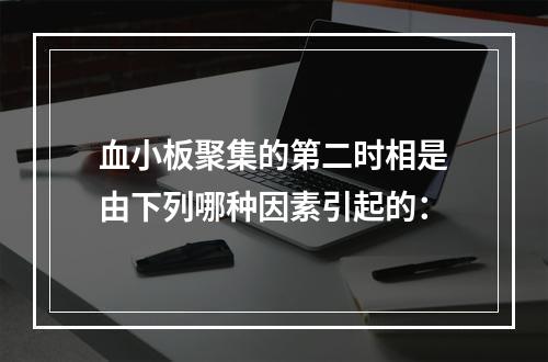 血小板聚集的第二时相是由下列哪种因素引起的：