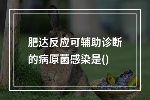 肥达反应可辅助诊断的病原菌感染是()