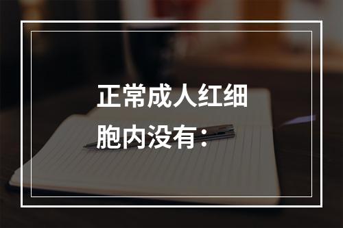 正常成人红细胞内没有：