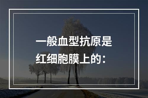 一般血型抗原是红细胞膜上的：