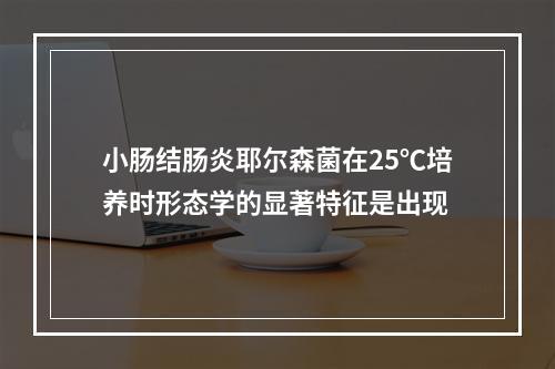 小肠结肠炎耶尔森菌在25℃培养时形态学的显著特征是出现