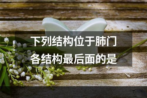 下列结构位于肺门各结构最后面的是