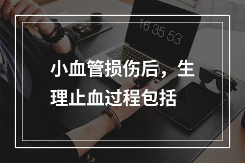 小血管损伤后，生理止血过程包括