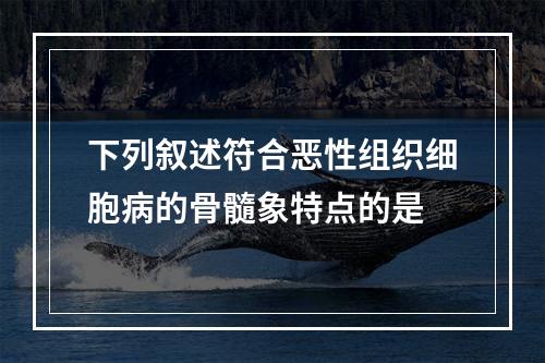 下列叙述符合恶性组织细胞病的骨髓象特点的是