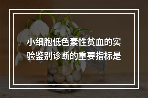 小细胞低色素性贫血的实验鉴别诊断的重要指标是