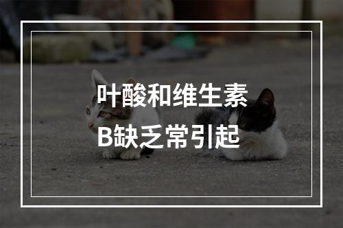 叶酸和维生素B缺乏常引起