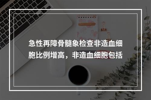 急性再障骨髓象检查非造血细胞比例增高，非造血细胞包括