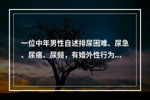 一位中年男性自述排尿困难、尿急、尿痛、尿频，有婚外性行为。尿