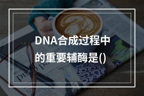 DNA合成过程中的重要辅酶是()