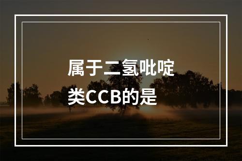 属于二氢吡啶类CCB的是