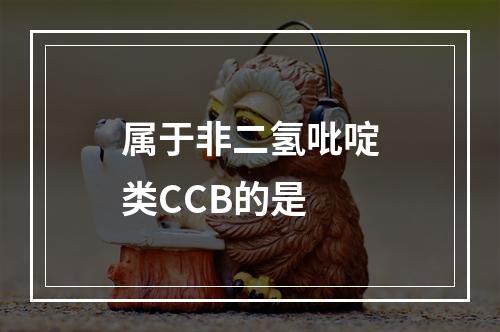 属于非二氢吡啶类CCB的是