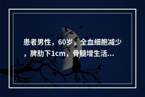 患者男性，60岁，全血细胞减少，脾肋下1cm，骨髓增生活跃，