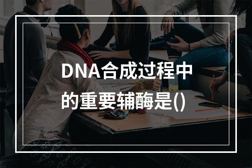 DNA合成过程中的重要辅酶是()