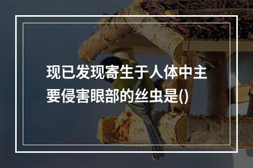 现已发现寄生于人体中主要侵害眼部的丝虫是()