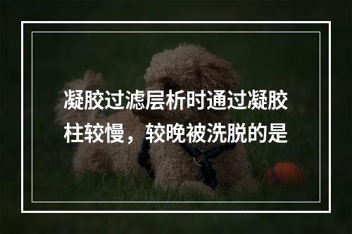 凝胶过滤层析时通过凝胶柱较慢，较晚被洗脱的是