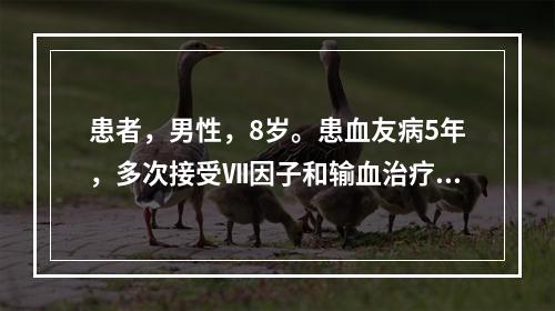 患者，男性，8岁。患血友病5年，多次接受Ⅶ因子和输血治疗，近