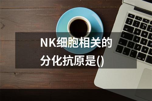 NK细胞相关的分化抗原是()