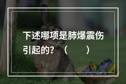 下述哪项是肺爆震伤引起的？（　　）