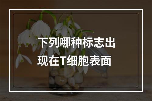 下列哪种标志出现在T细胞表面